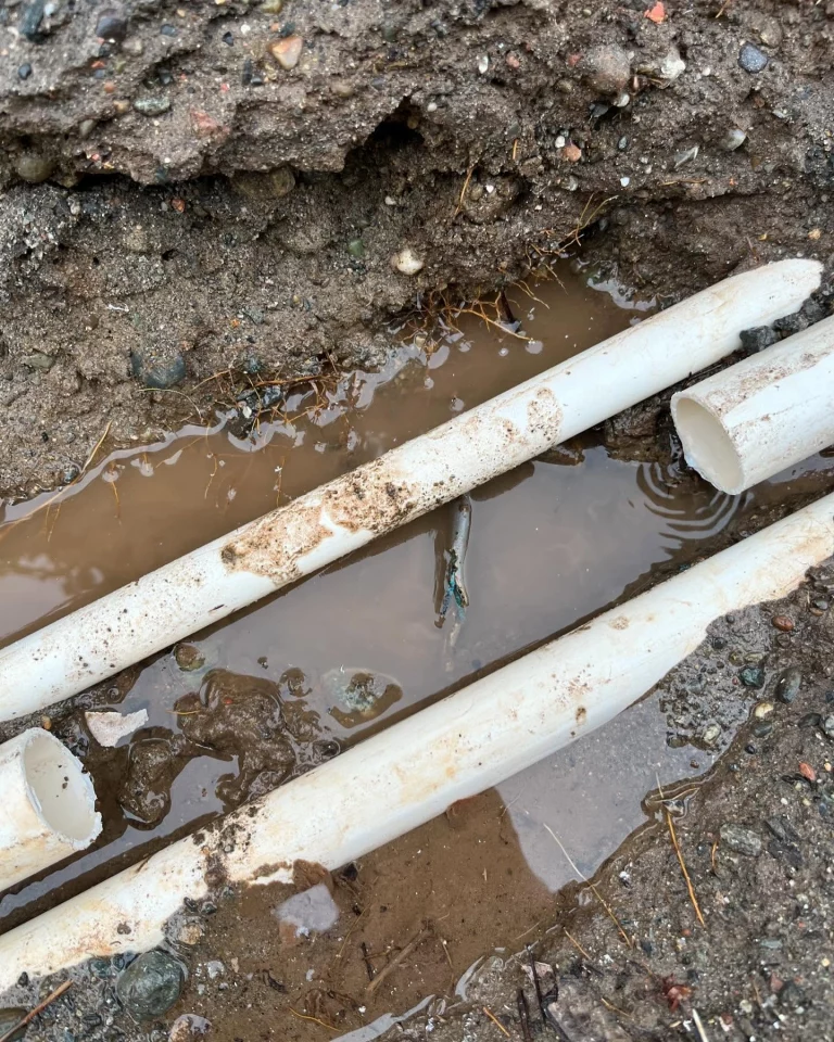 Sewer and Drain Services