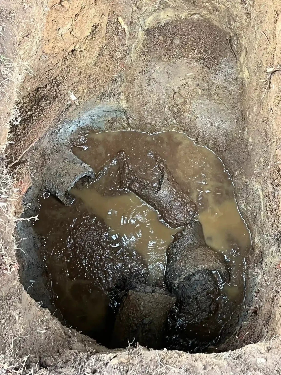 Drain Line Replacement Services